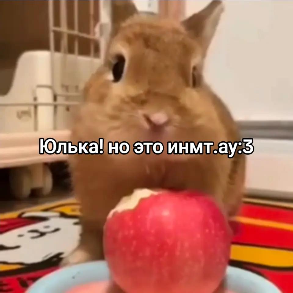 @чокопао 🍅