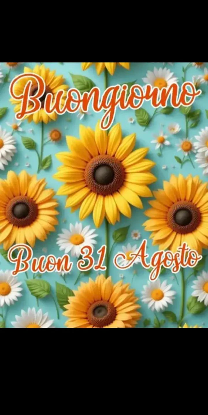 @maria grazia bersanetti