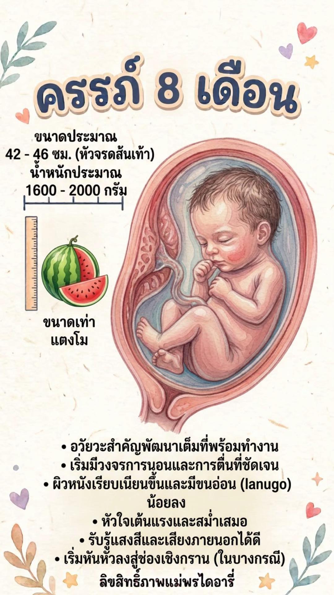 @แม่พรไดอารี่(20k)