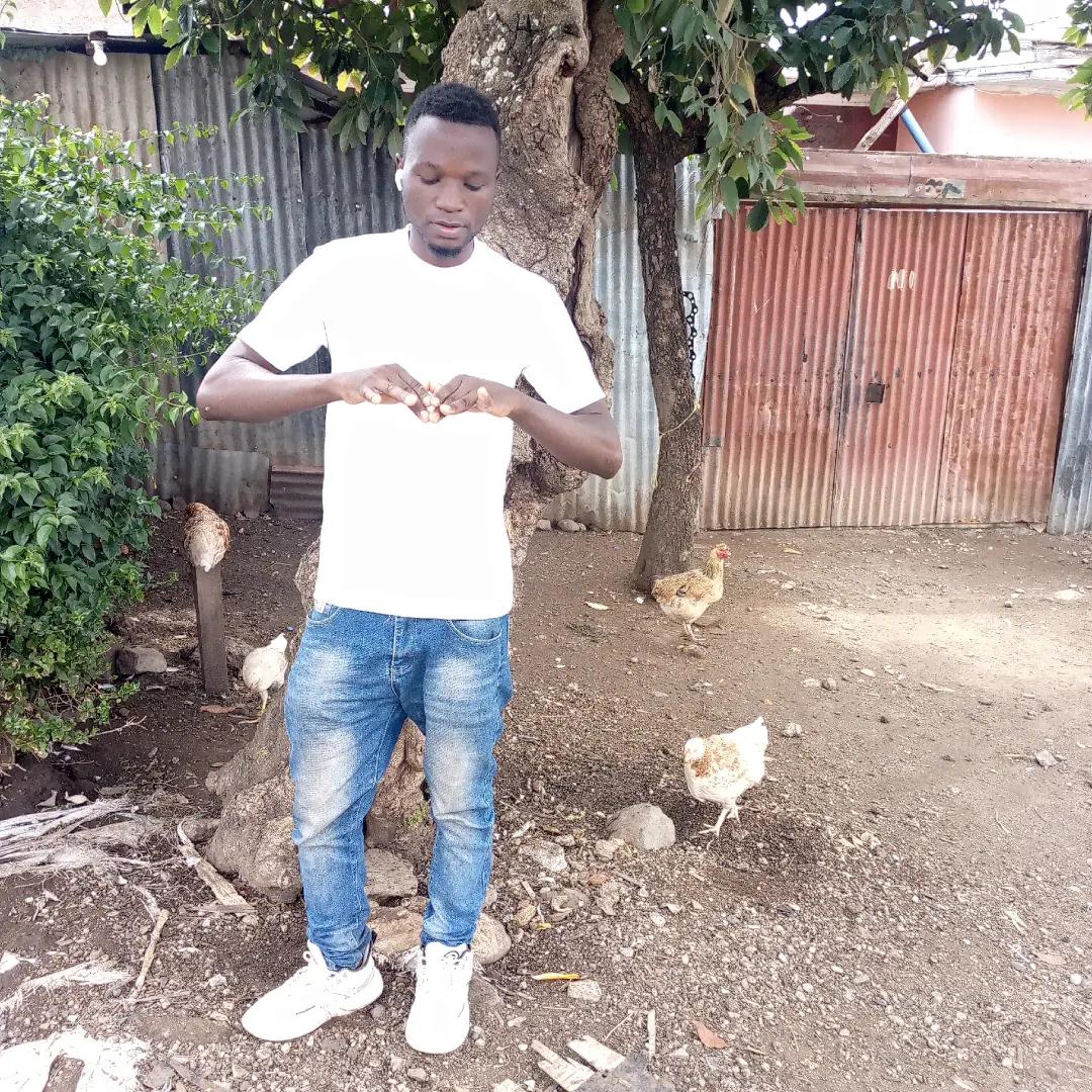 @feic Boy95tz