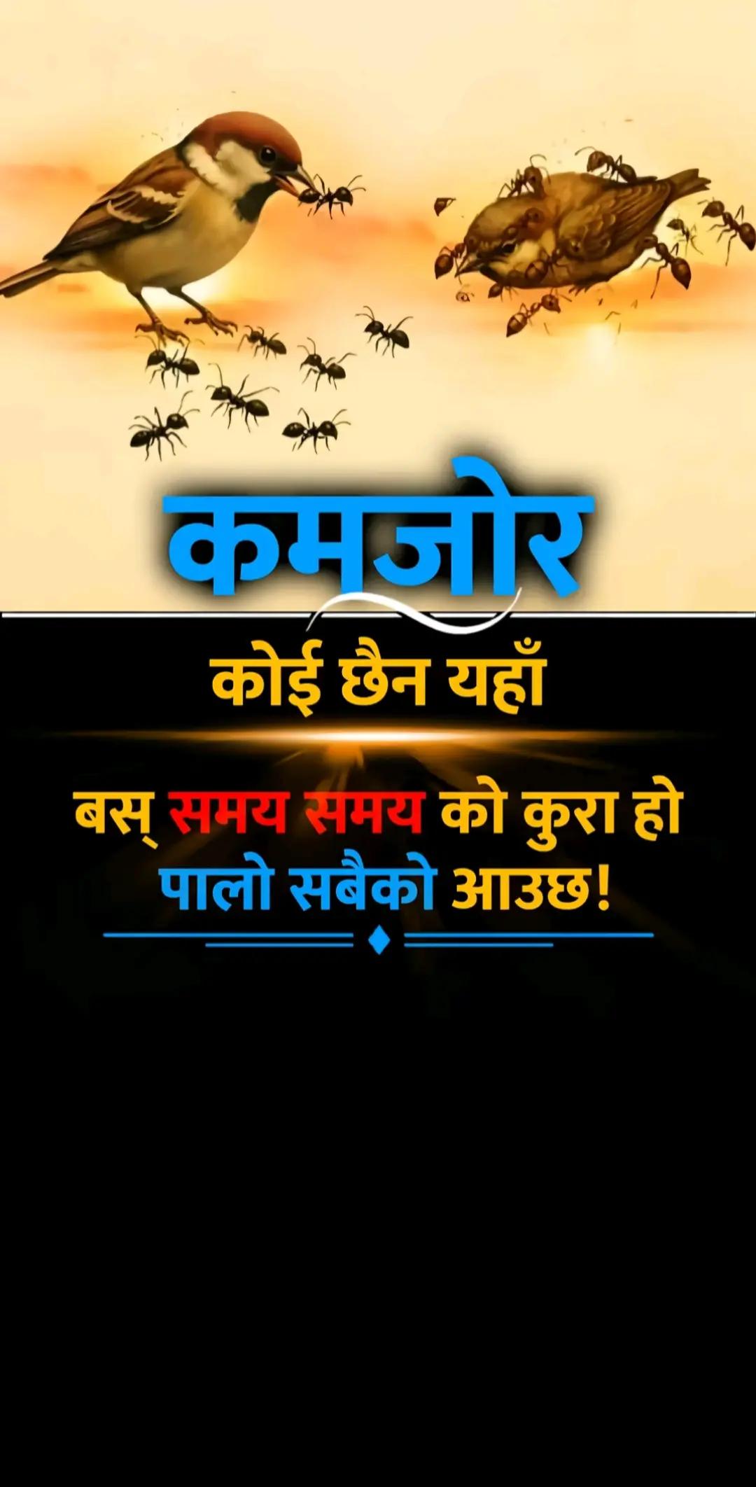 @@Devnarayan🖤
