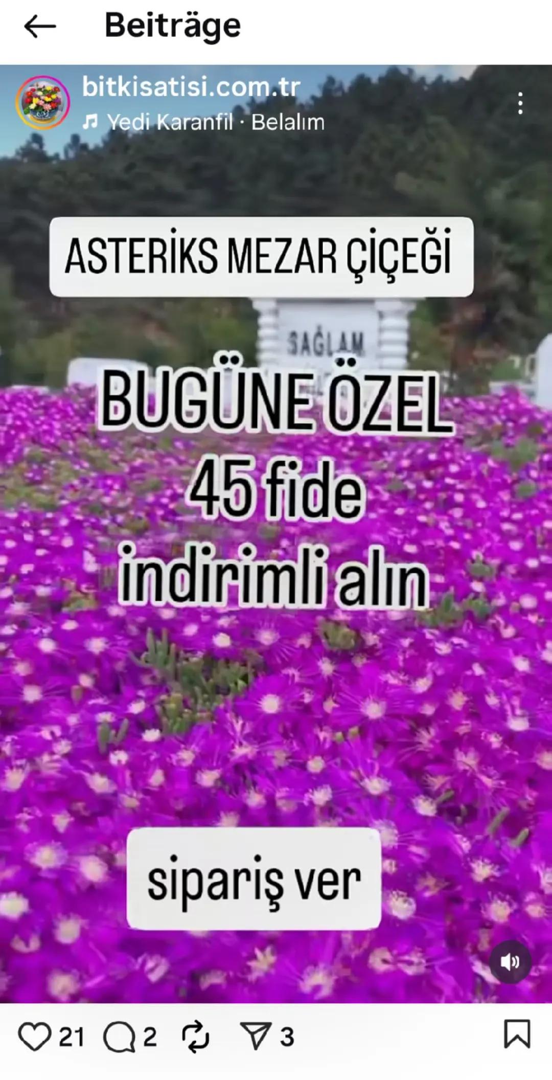 @Lotus bitki satışı