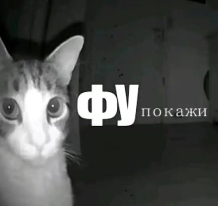 @ПУШИСТАЯ ЛАВКА