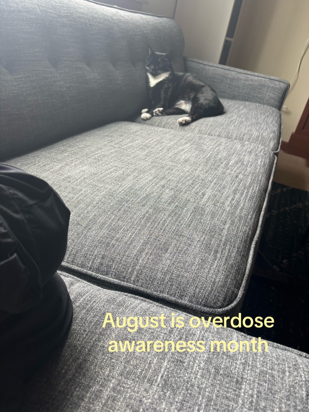 @hugo || catnap