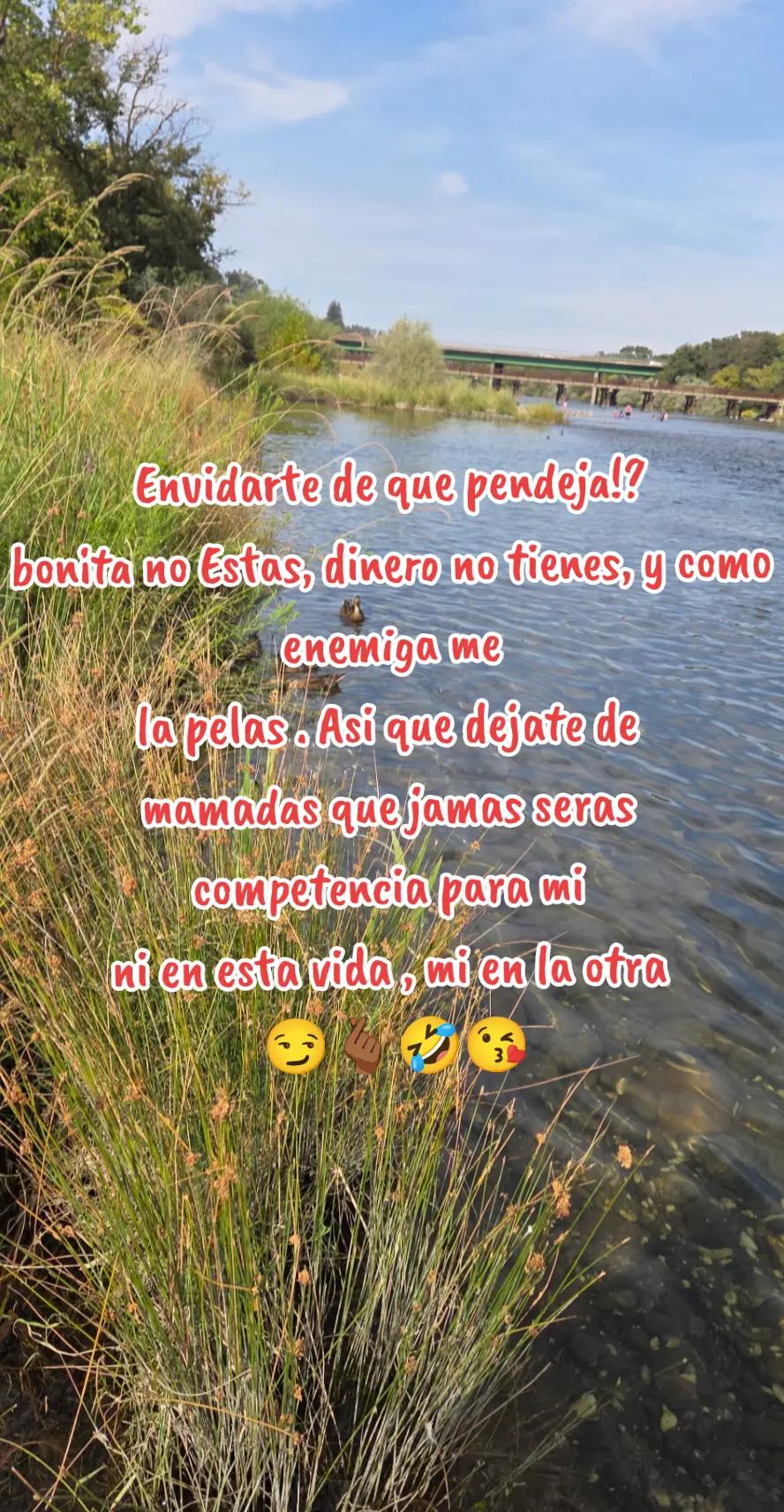 @Evelyn 🥰