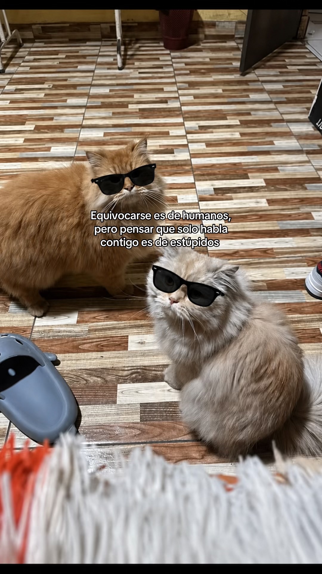 @️