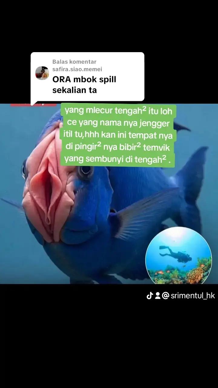 @Srimentul_hk