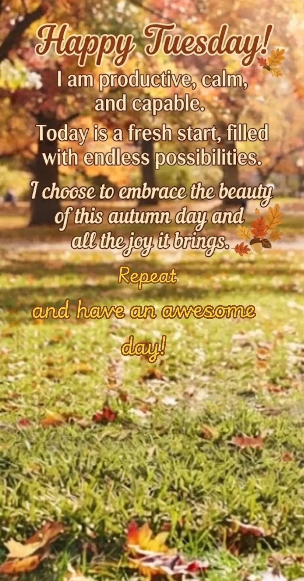 @LisaLadybird🐞
