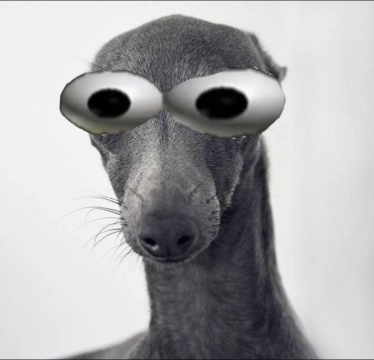 @🇪🇬.ᐟ