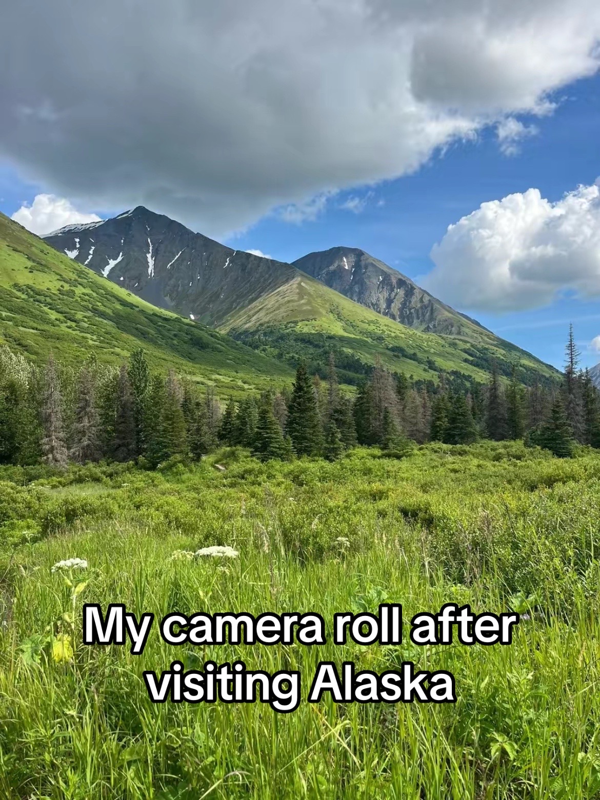 @Chasey Campbell ๐๏ธ๐ท๏ธ๐พ