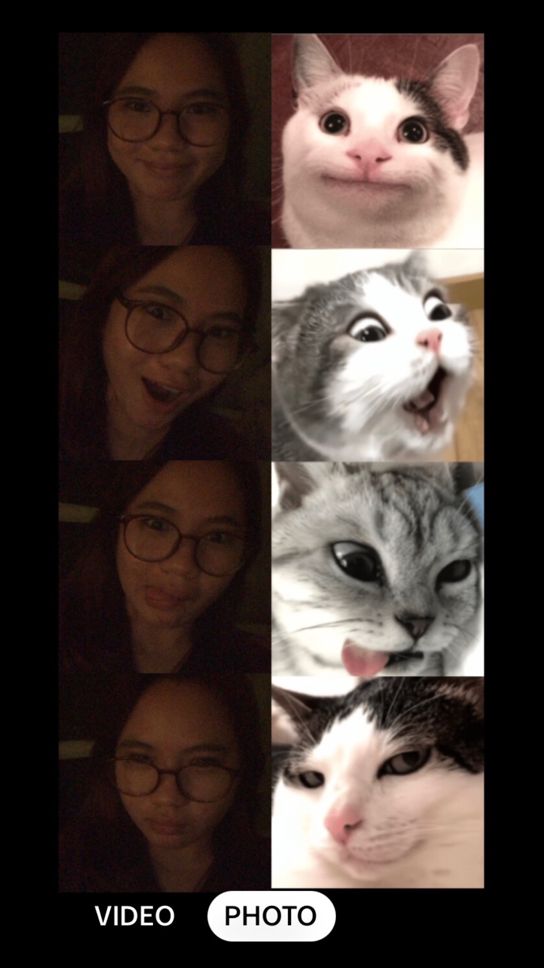 @_shansy(◕ᴗ◕✿)