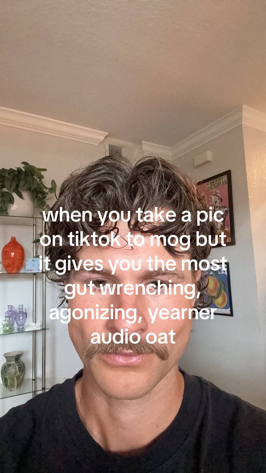 @shane