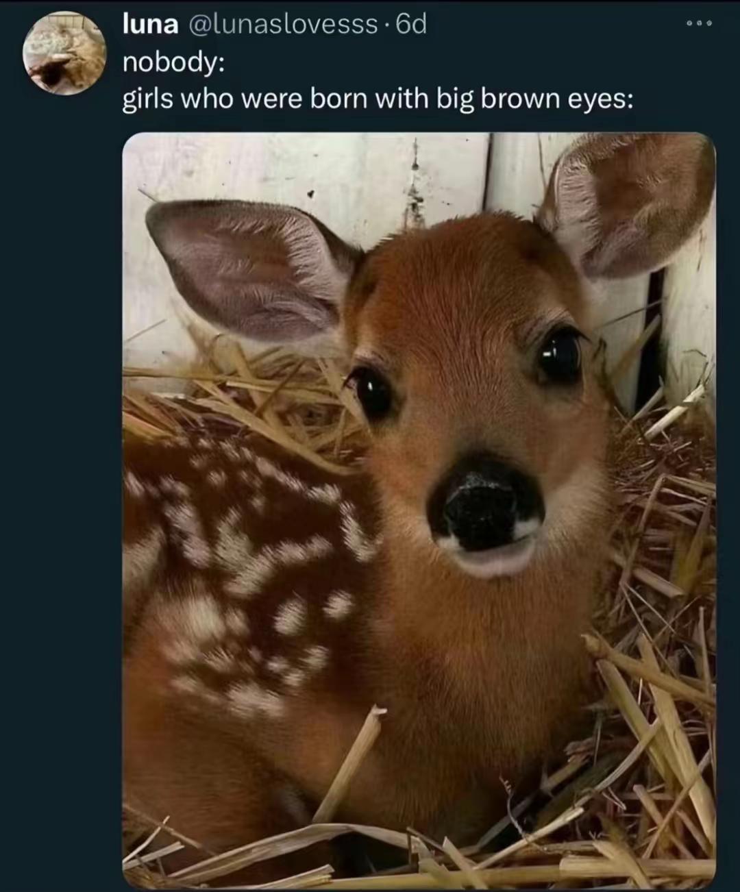 @Maria Boiko