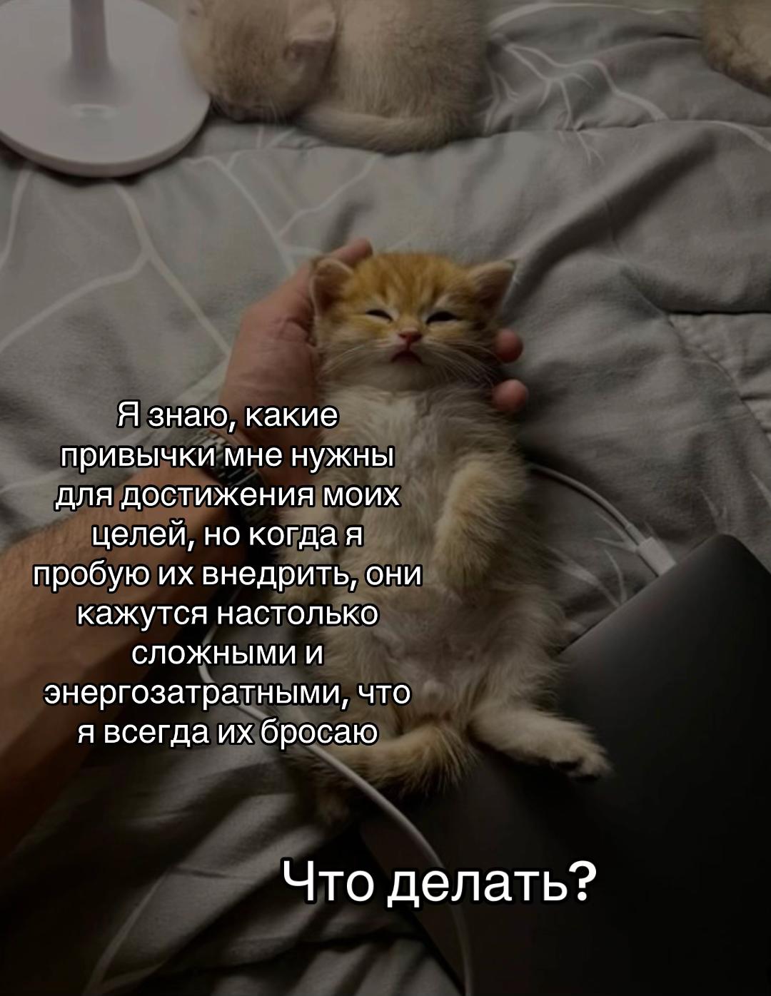 @тгк: психология с марго