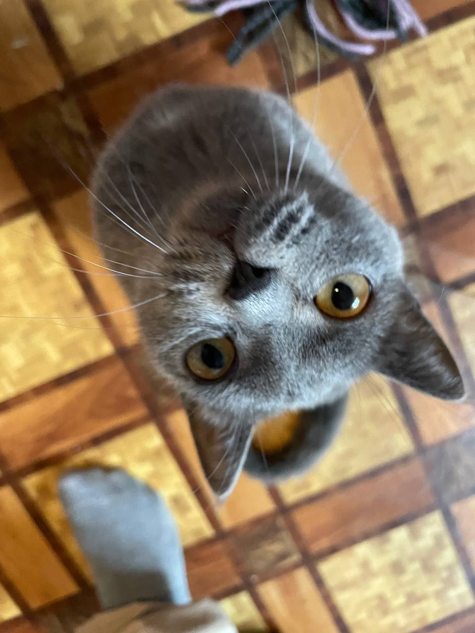 @Лера гаш 🧸