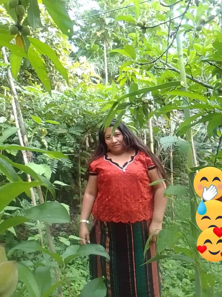@la xujur