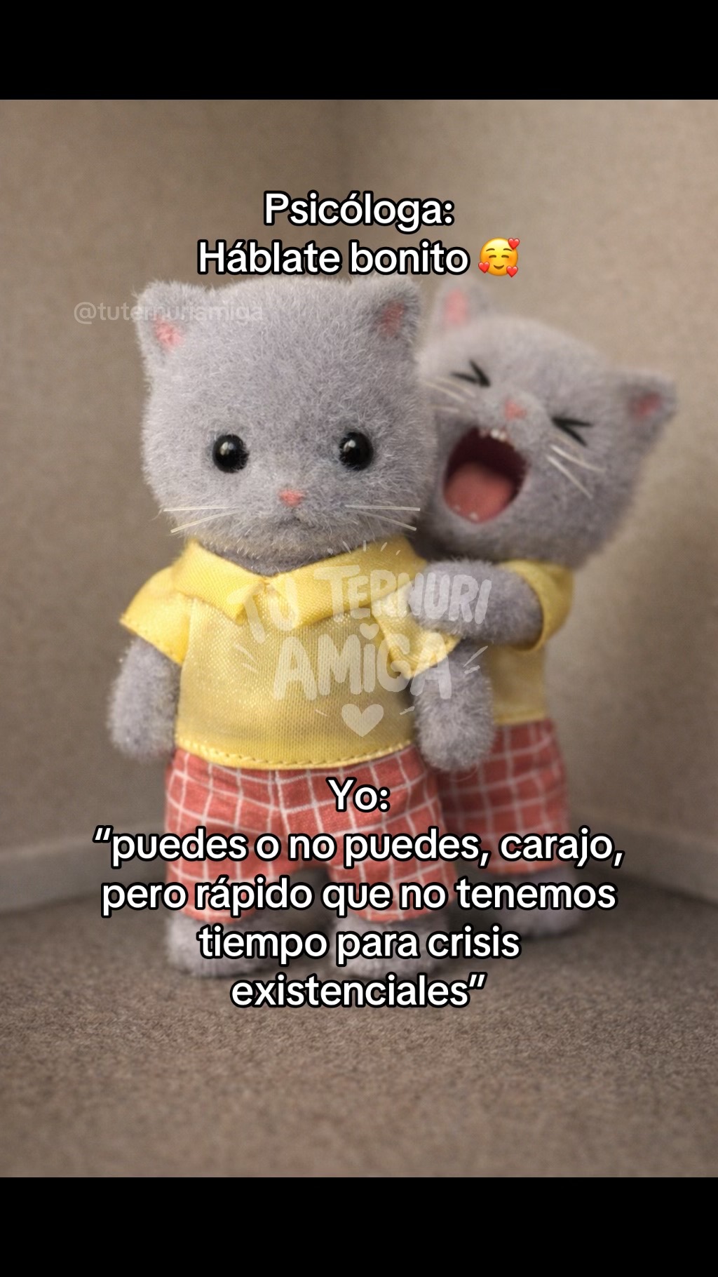 @TuTernuriAmiga💜