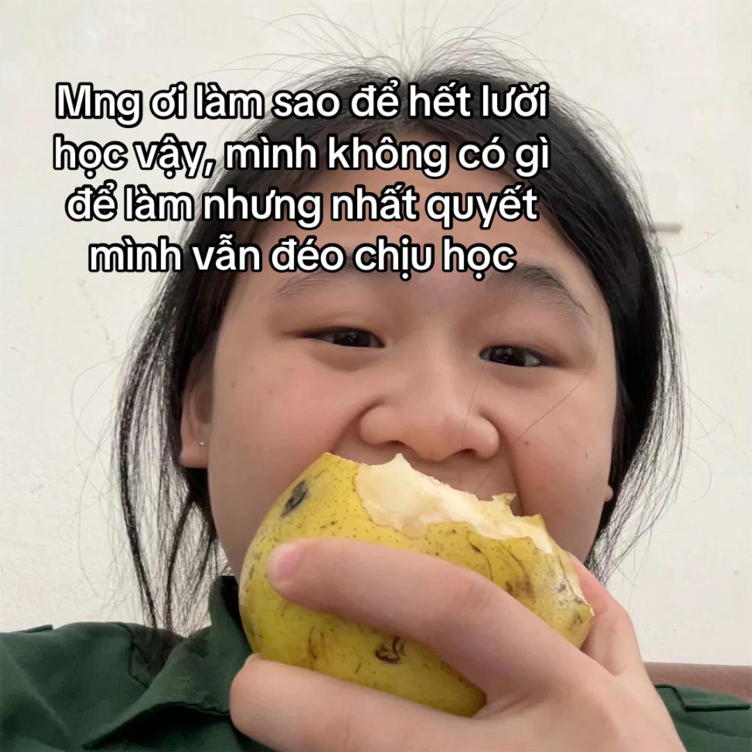 @Đứa con của thần gió