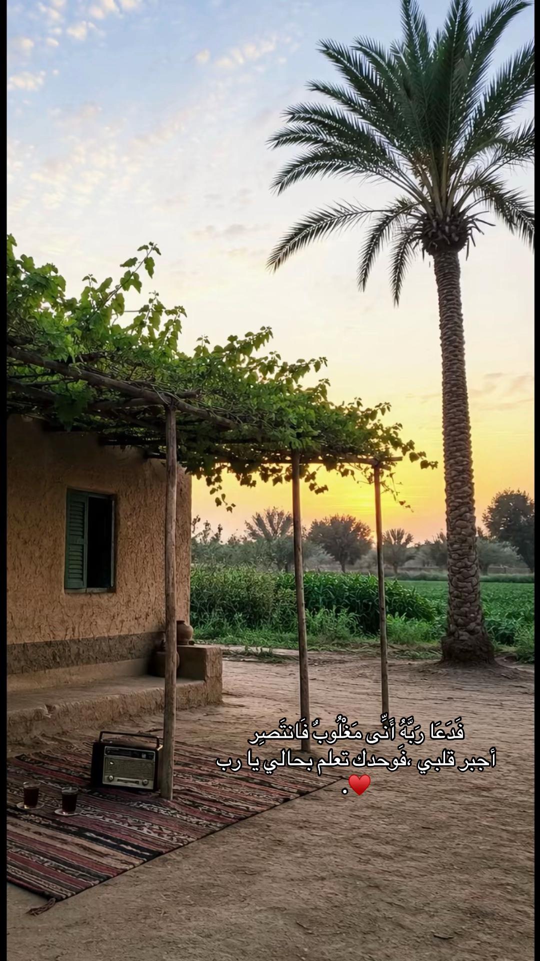 @🇸🇦&Ecirc;Mŷ🇪🇬