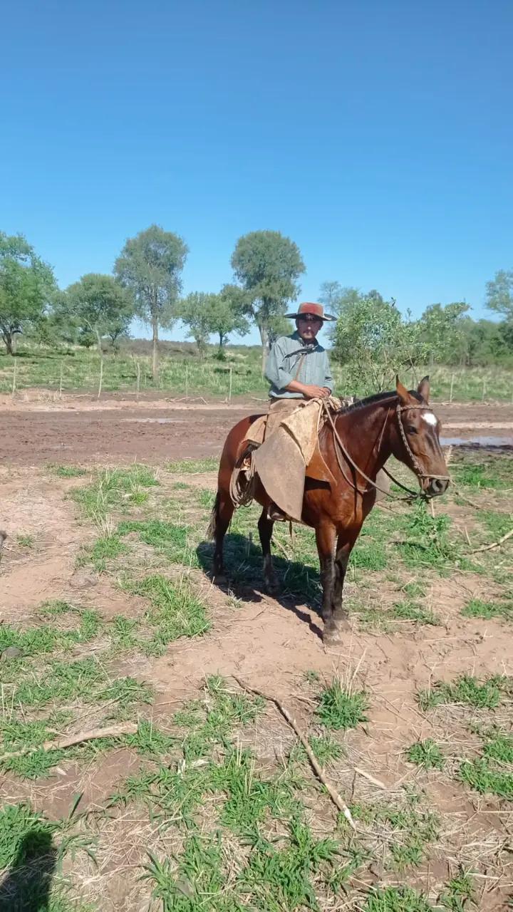 @facundo Mendoza