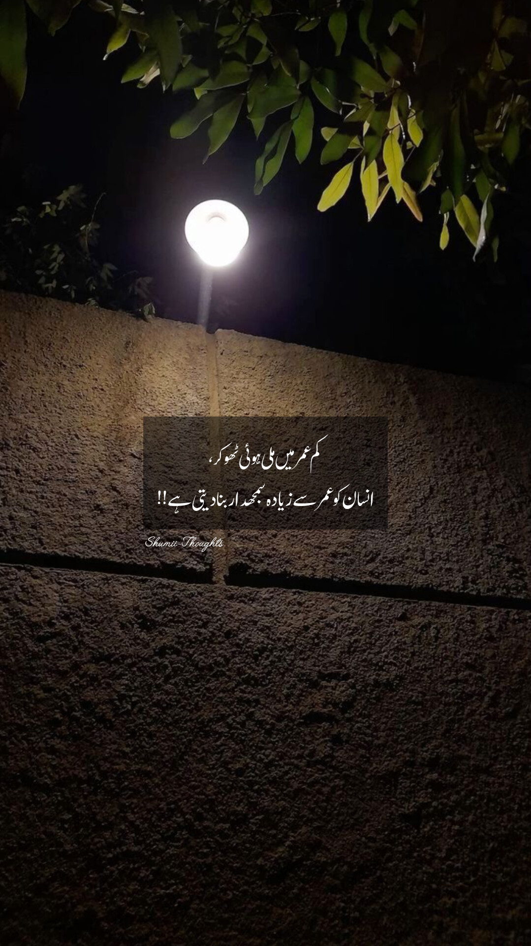 @shumaila malik