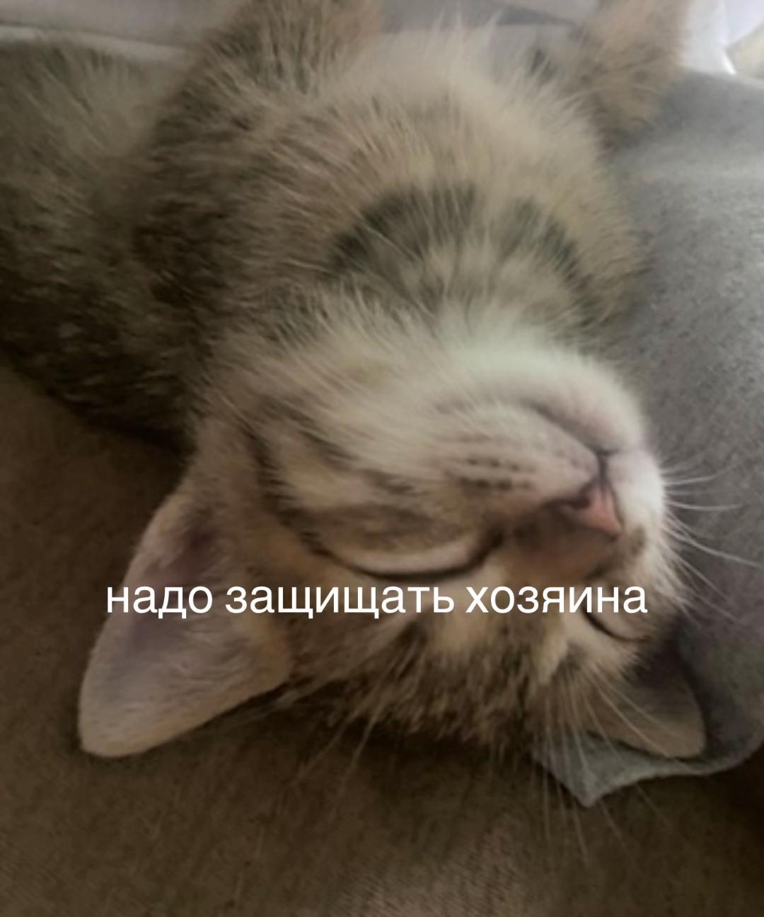 @тгк:angel🪽