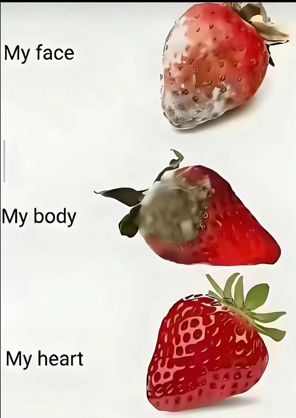@๐ฆข