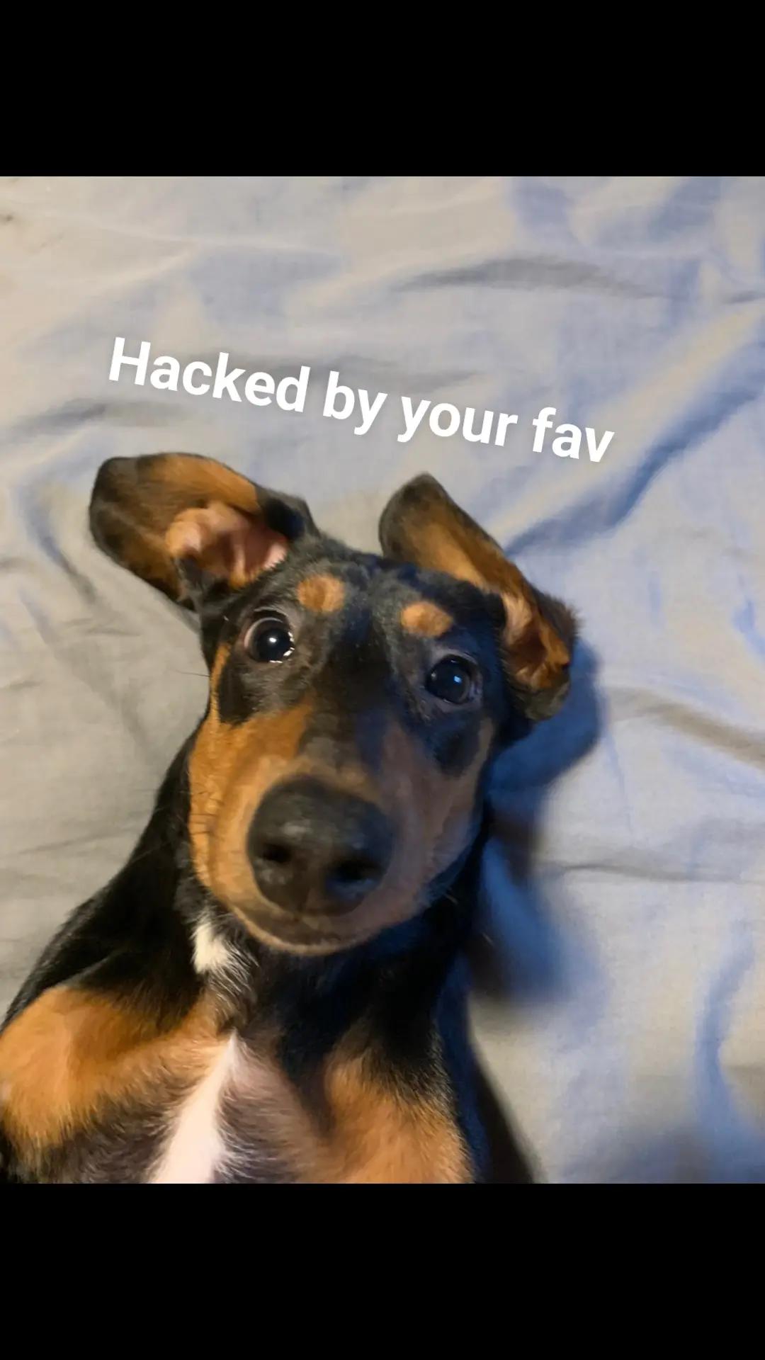 @Kenzie