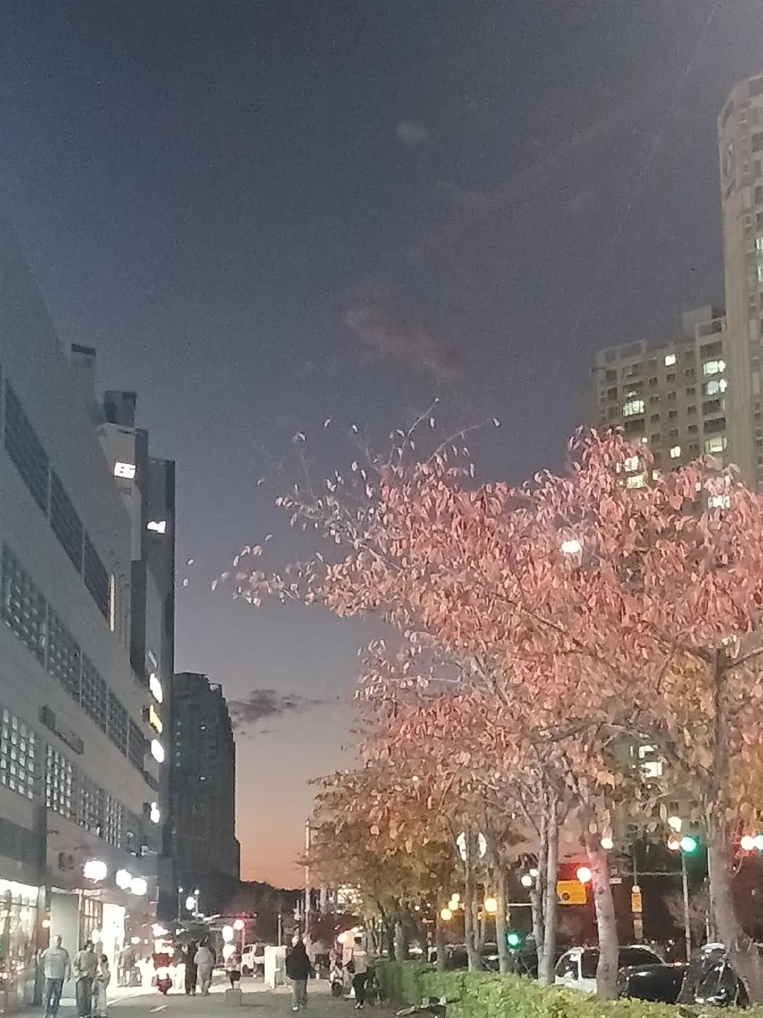 @짭벨로