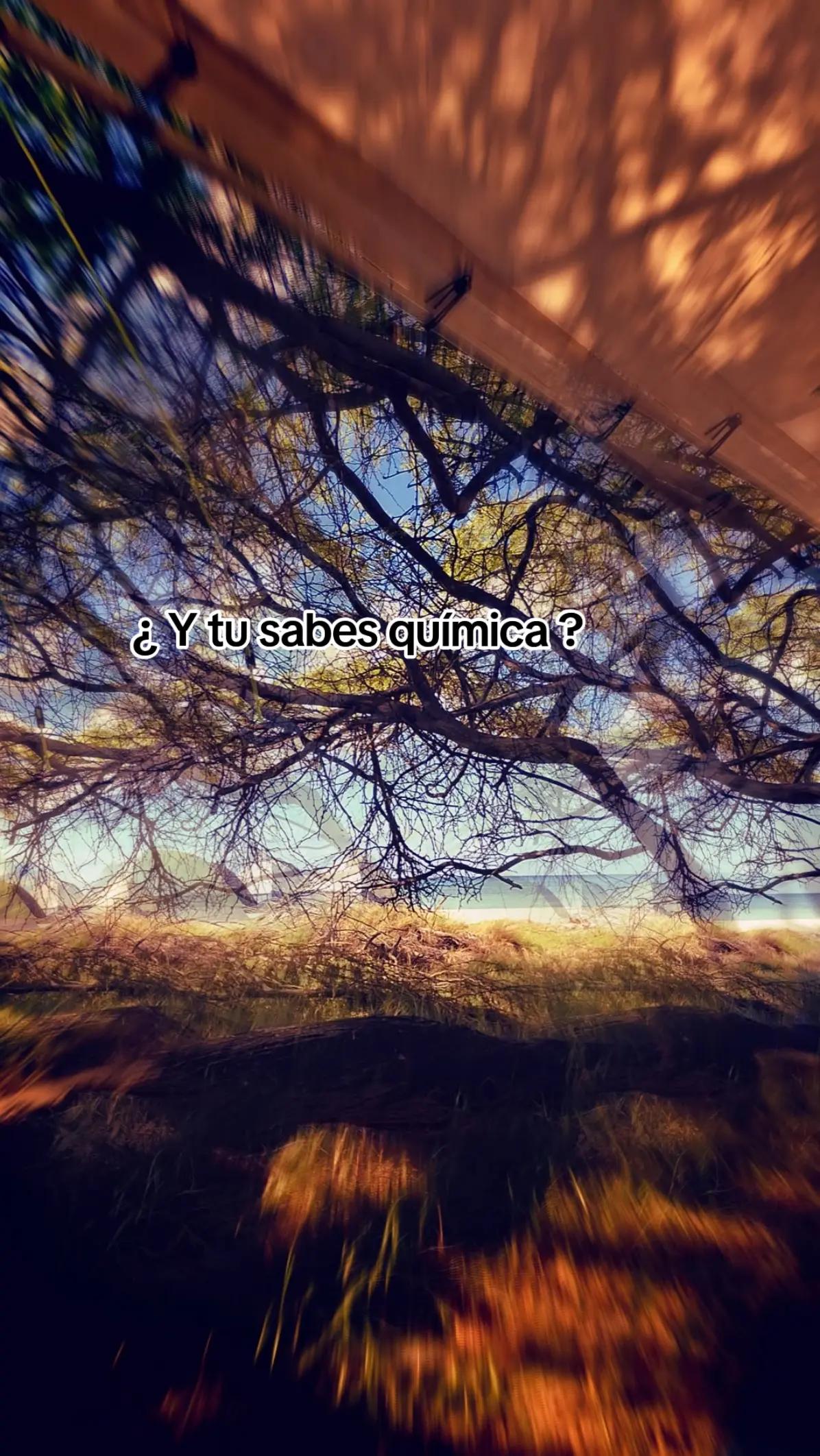 @๐๐๐๐ ๐๐ซง