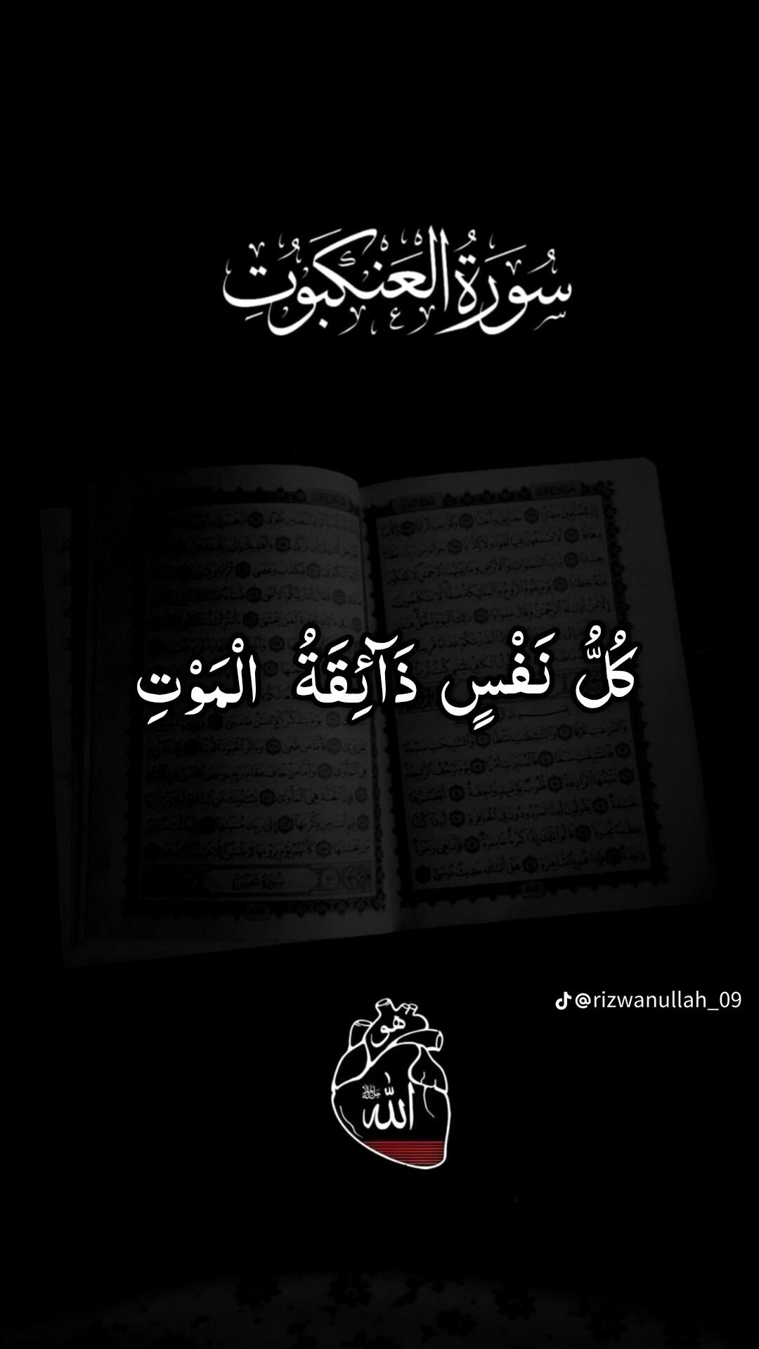 @Muzammal sulhana 43