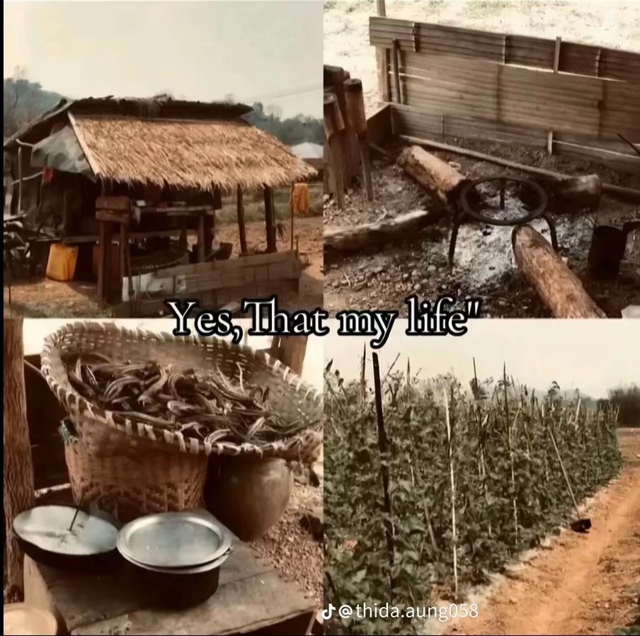 @🍁咪➰伲🍁(နှင်း❄️)