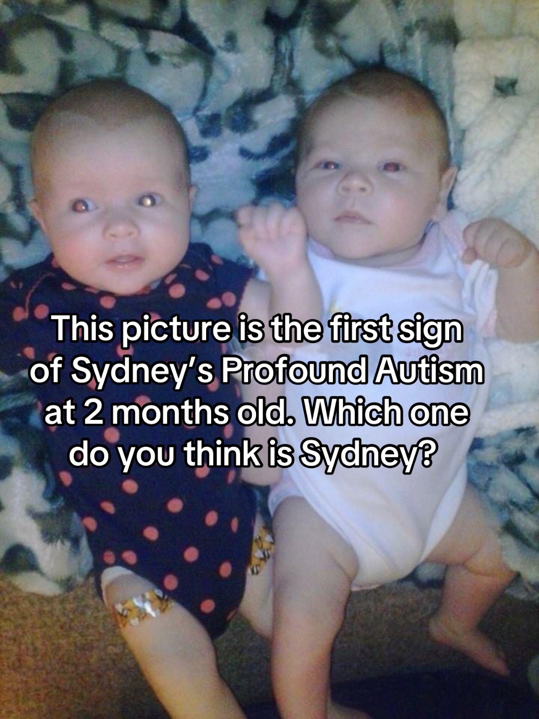 @Raising Sydney