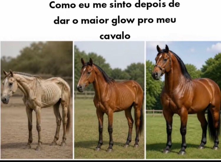@Pᥱ́r᥆ᥣᥲ ᥱ ᥴᥲ&rho;&iota;tᥲ̃᥆