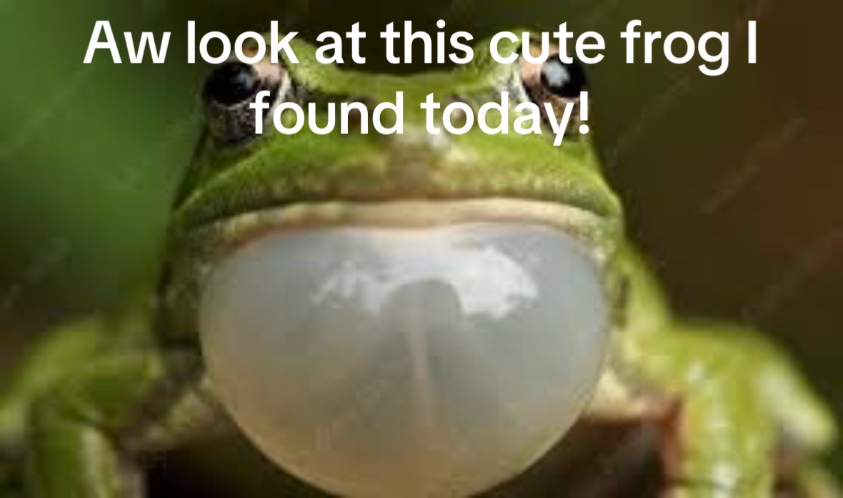 @Tylenol .the.creator
