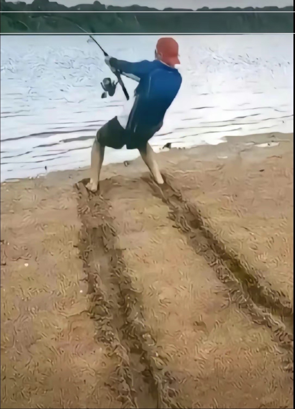 @Cá mập đi giày