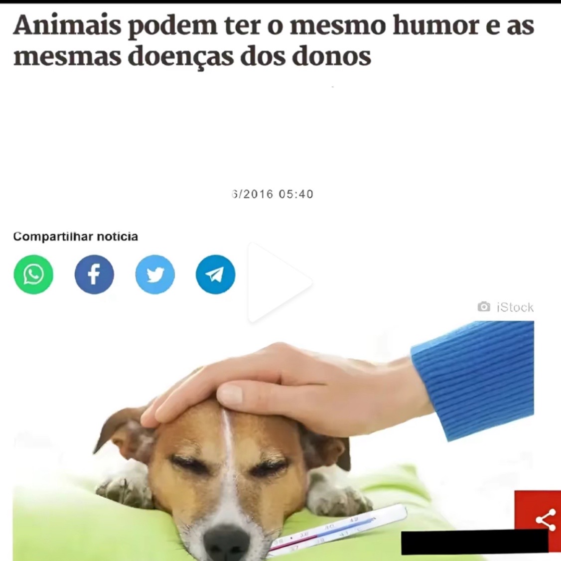 @Aefi 🇧🇷