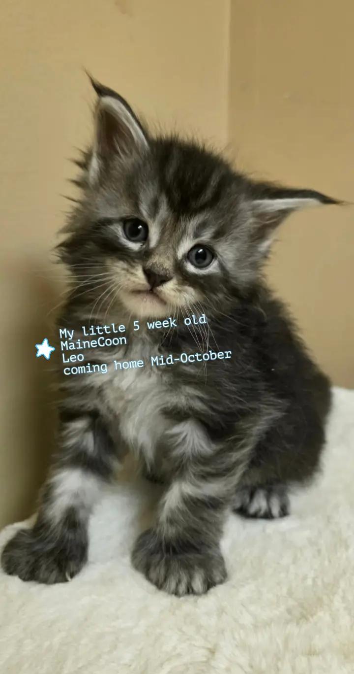 @KatKat