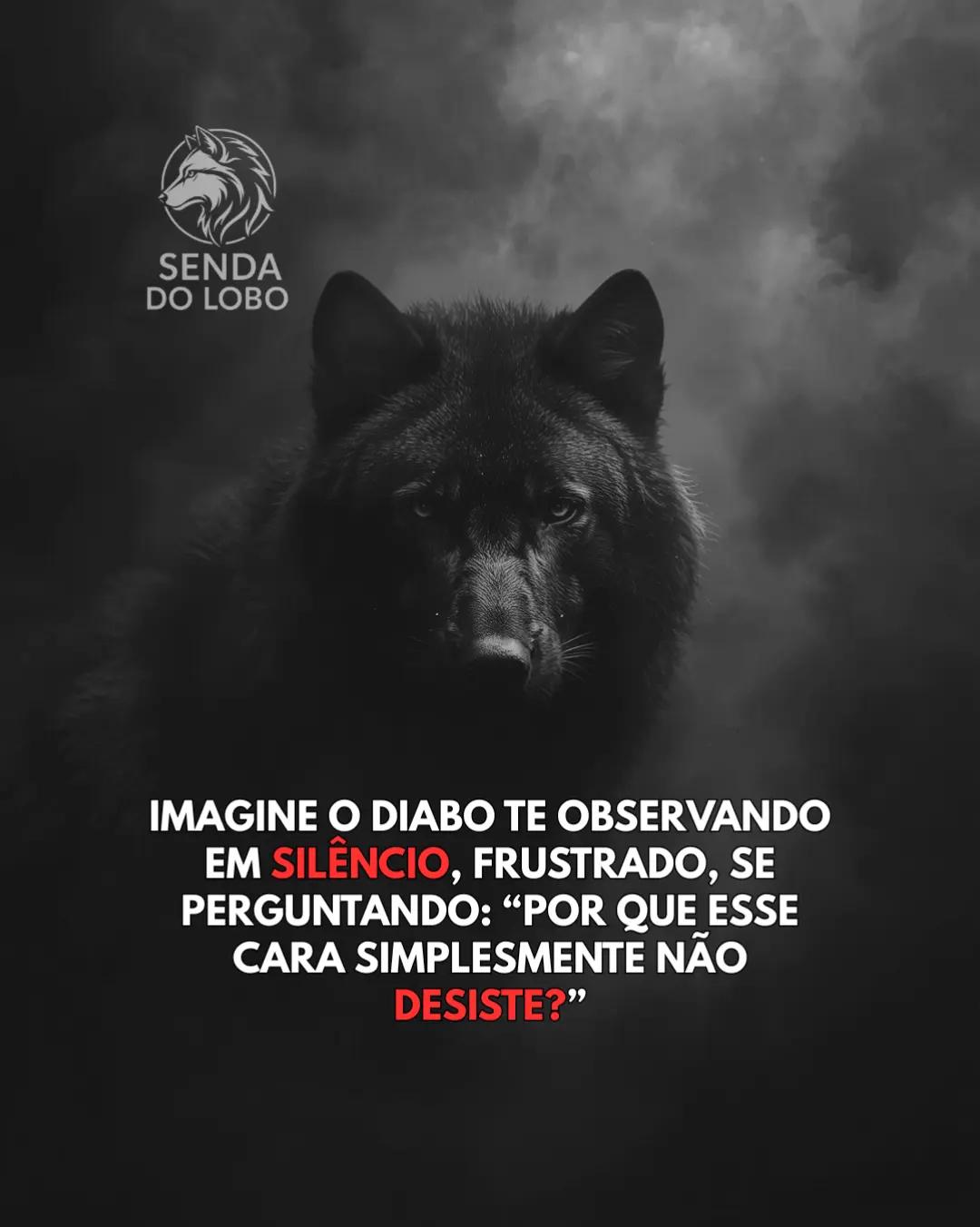 @Senda do Lobo