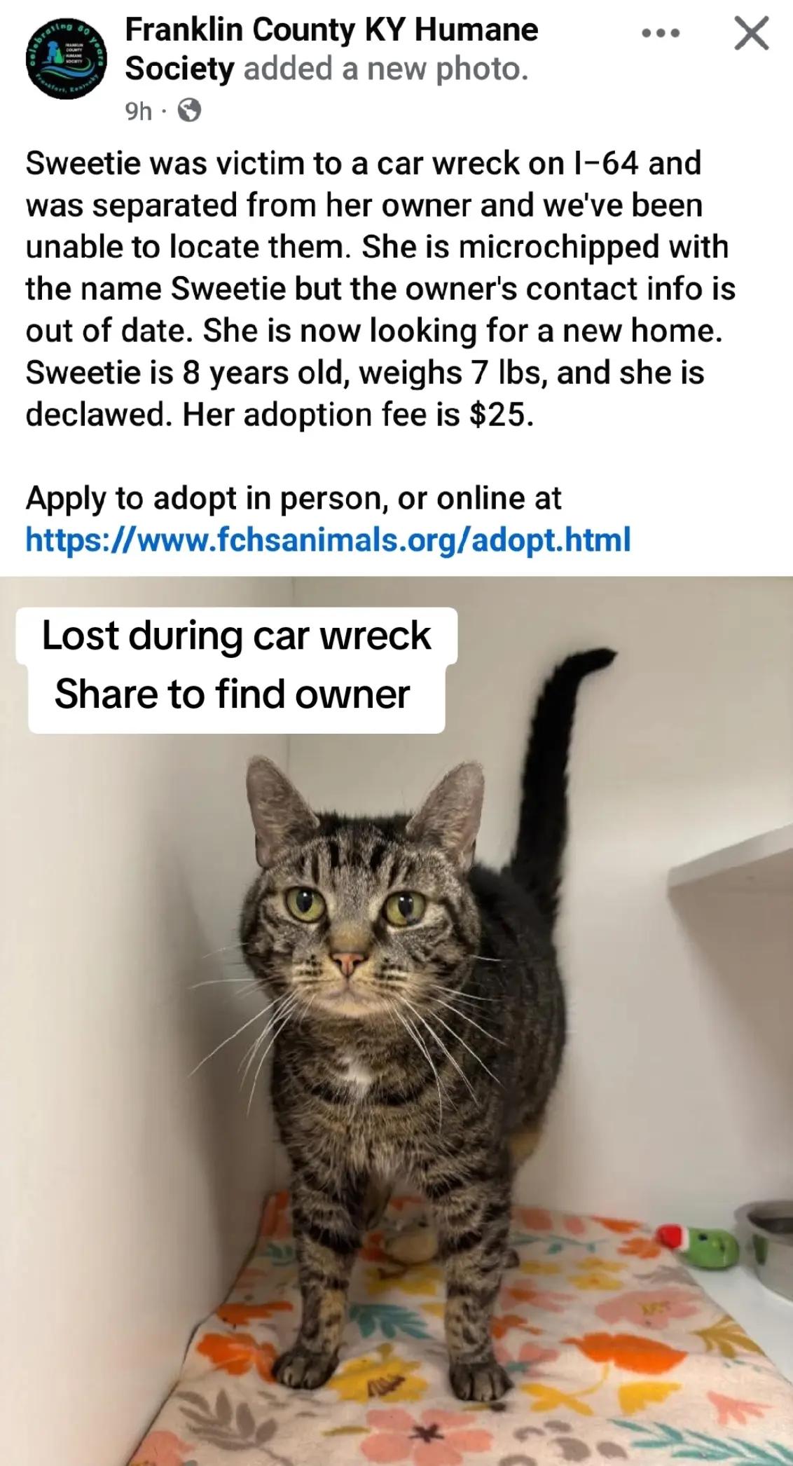 @No More Sad Kitties