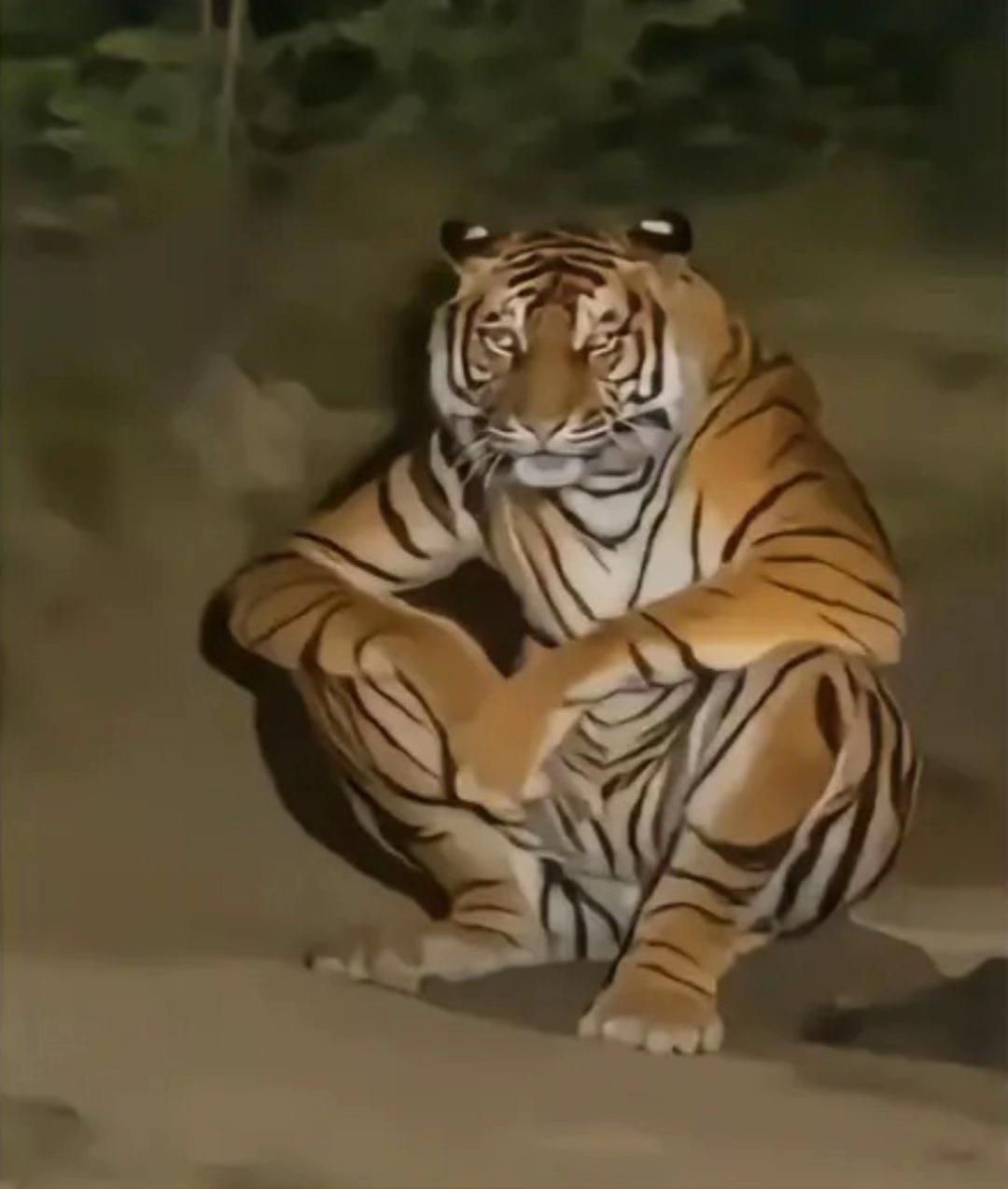 @ilyhaking