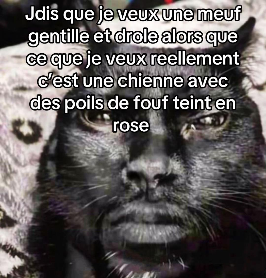 @docteur..lulu