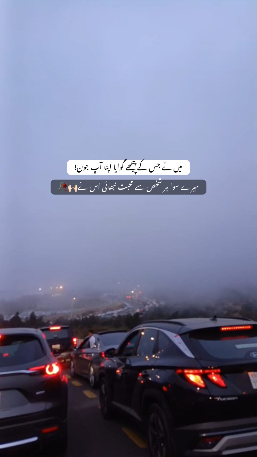 @𝖠𝗇𝗇𝗂𝖾🕸️