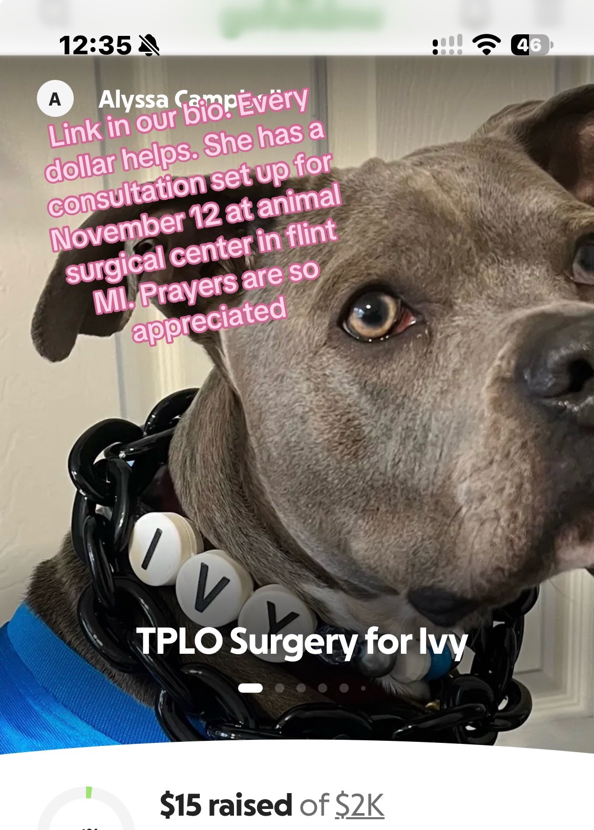 @Ivy the pitty
