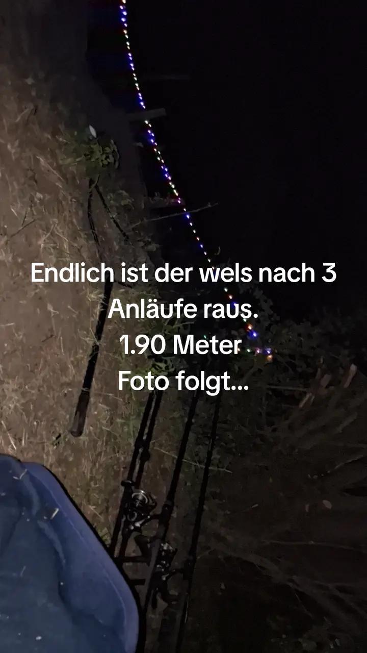 @Angelgerne