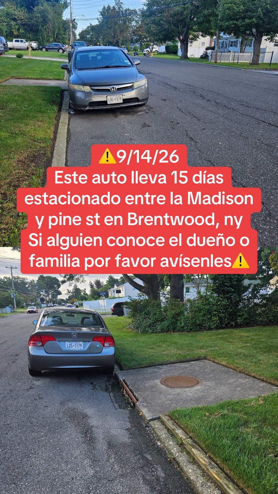 @Salvadore&ntilde;os NY
