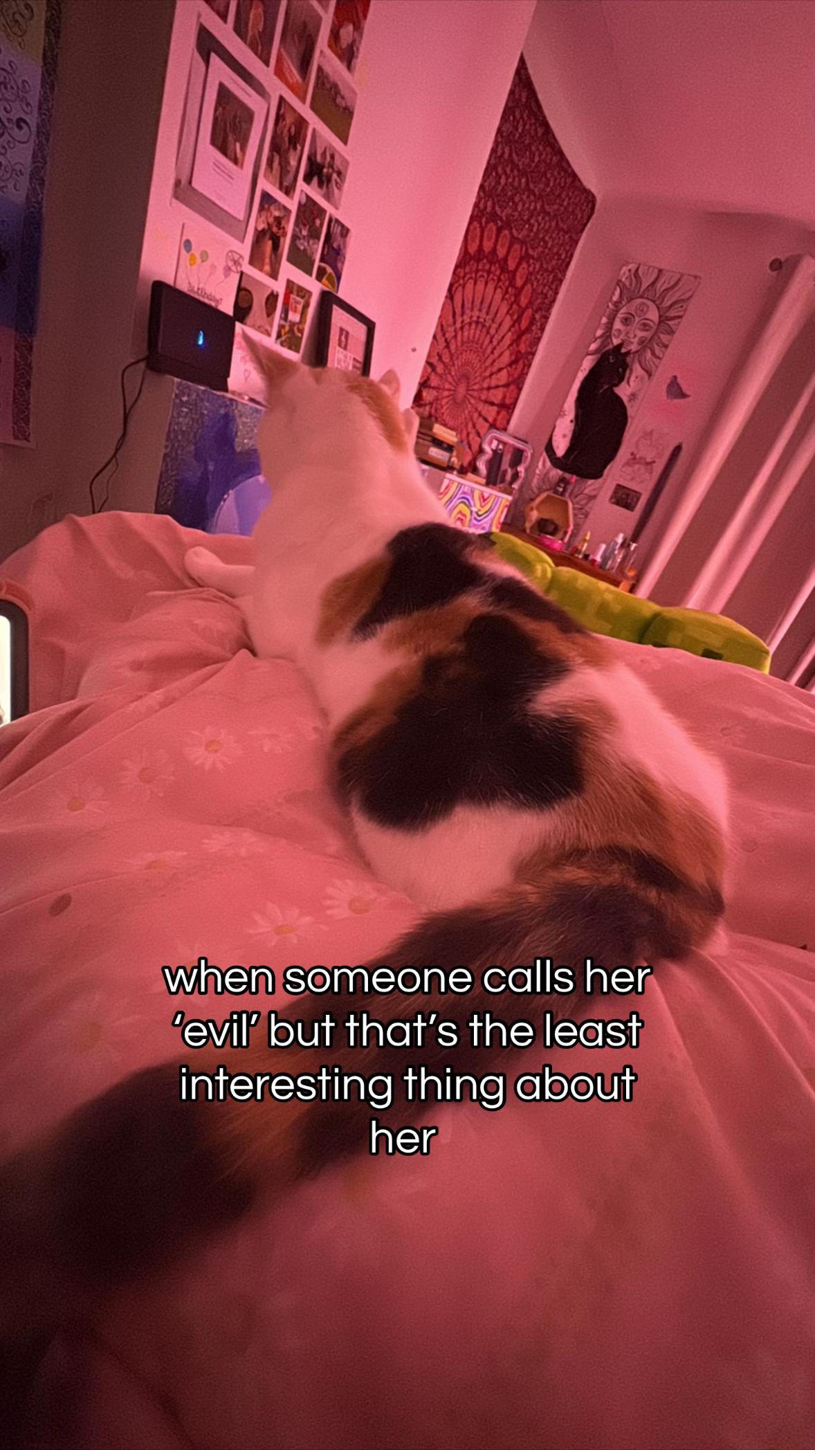 @keira 🌟