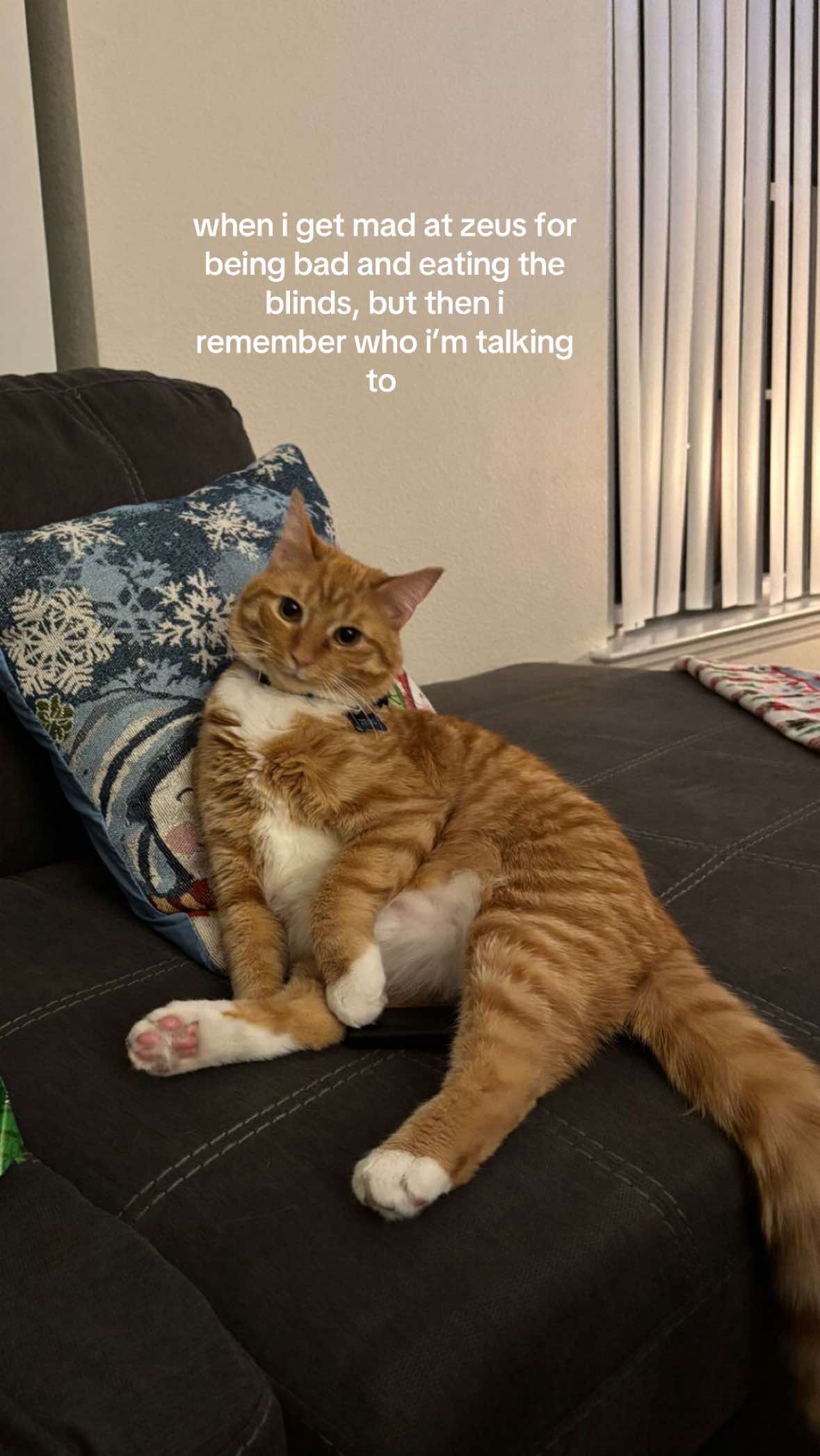 @mo