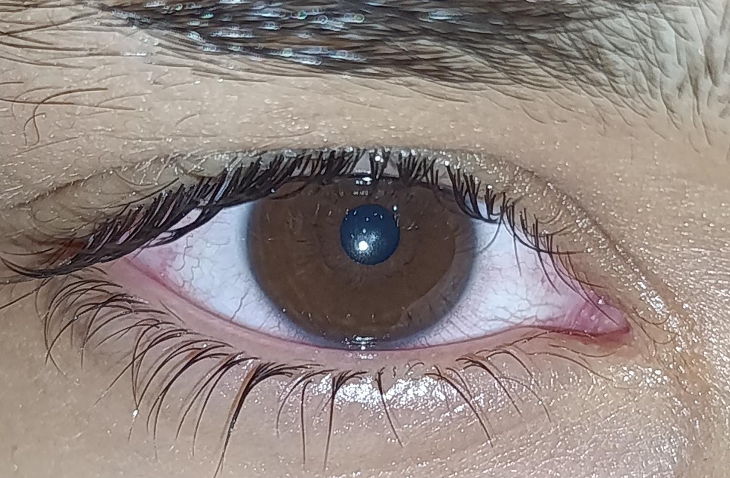 @XXXAPLUMUT