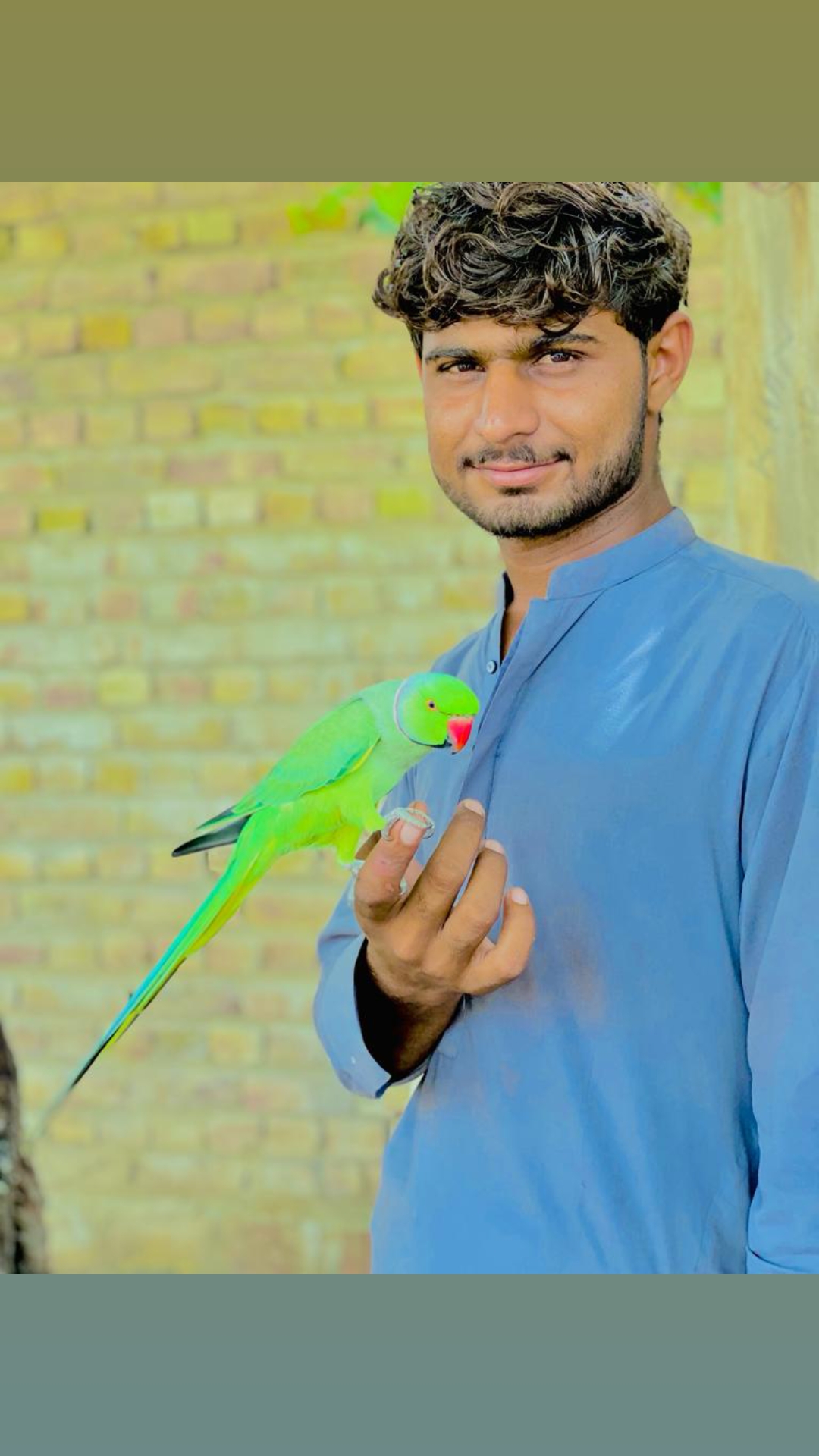 @Azghar Baloch
